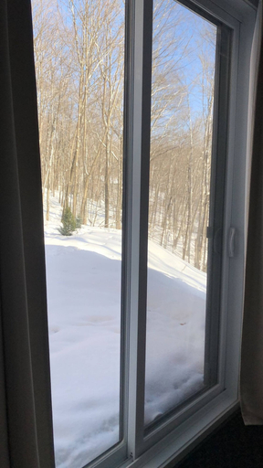 View from property, Magnifique Chalet En Montagne Citq 306918, La Haute-Yamaska