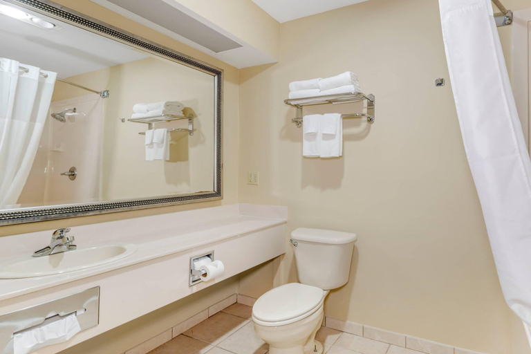 Bathroom 4, Quality Inn Eureka Springs South, Carroll