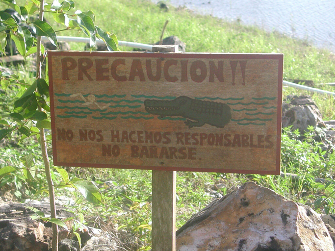 Miscellaneous 2, El Sombrero Ecolodge, Flores