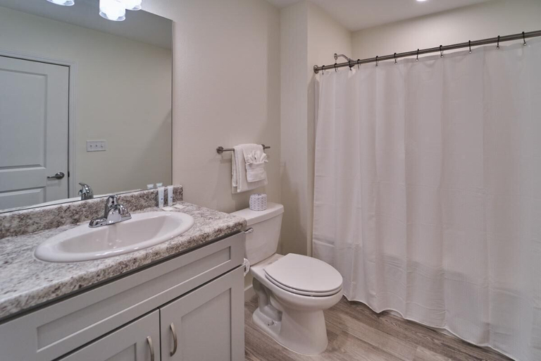 Bathroom 3, The Ruby 309, Sevier
