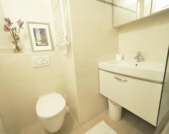 Bathroom 2, Résidence Graziella Studio 101, Alpes-Maritimes