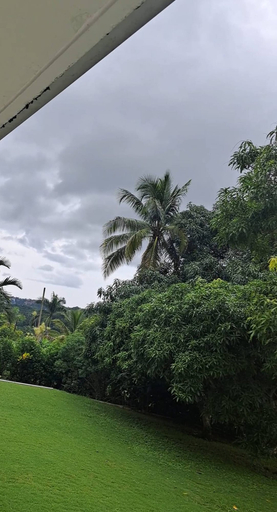 Property grounds 3, Montego Bay - Hillside Retreat