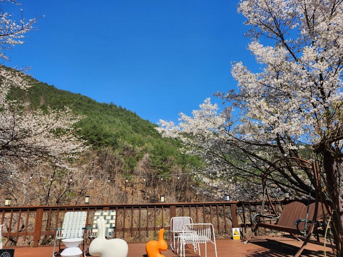 Others 5, Gangneung Limp Pension, Gangneung