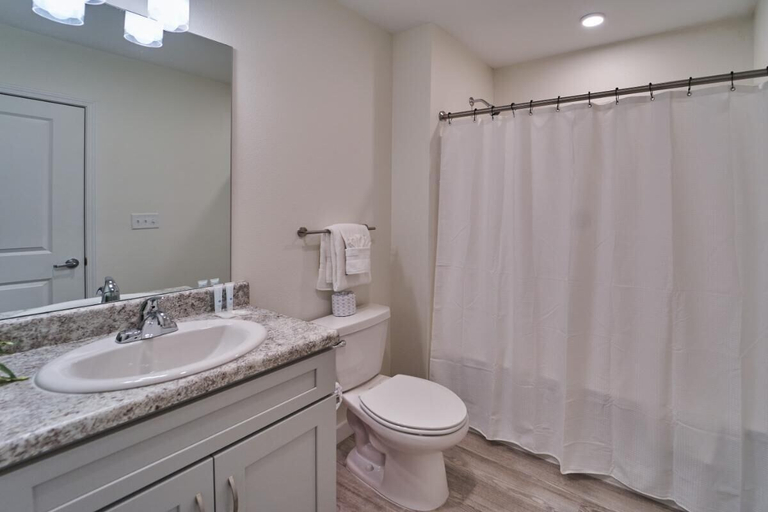 Bathroom 5, The Ruby 313, Sevier