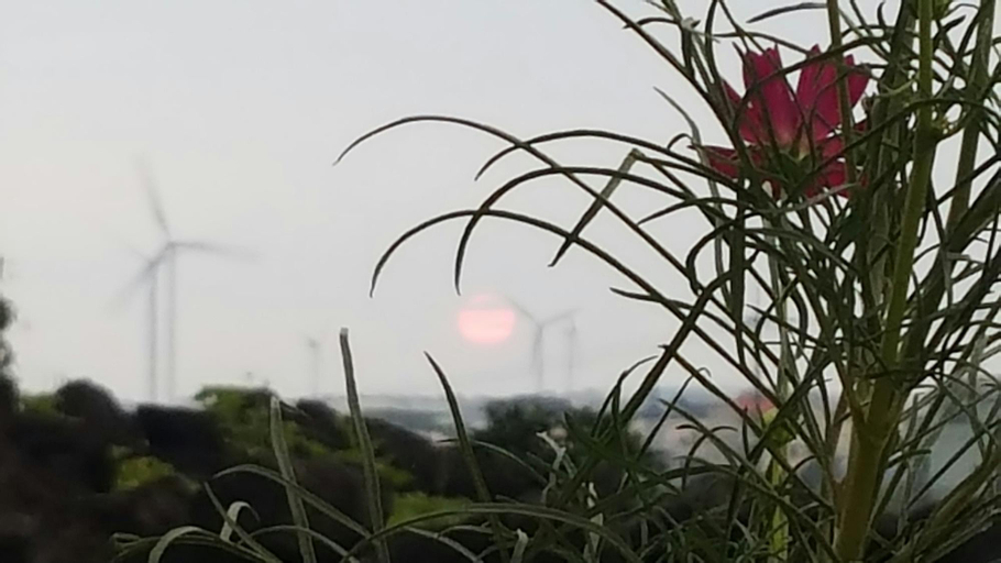 Others 5, Jeju Picnic Pension, Jeju