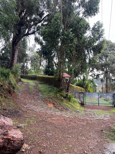 Others 5, Springdale Villa, Dindigul