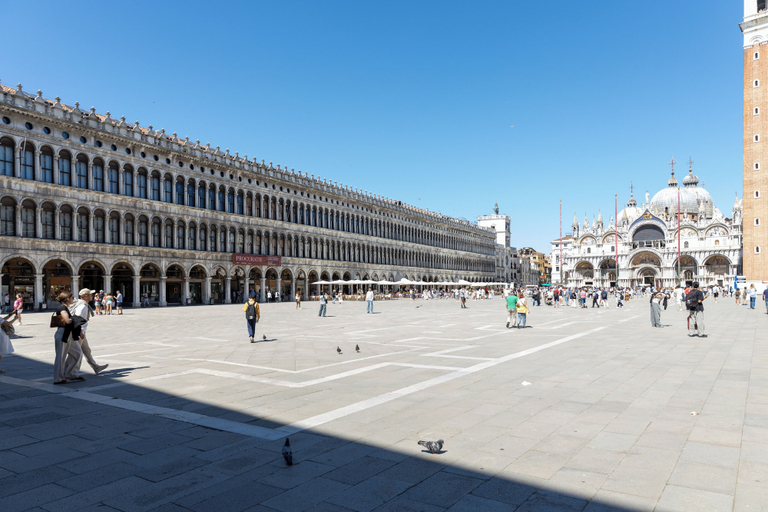 Exterior 5, Dalèt, Venezia