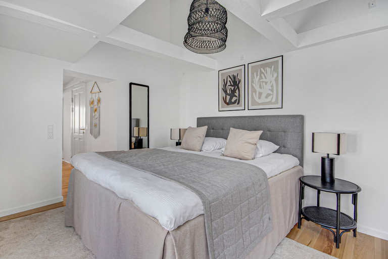 Others 4, Regent 8- Great Apt With Terrace in City Centre, Copenhagen