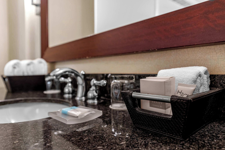 Bathroom 5, Exclusive Trump Beachfront Condo, Miami-Dade
