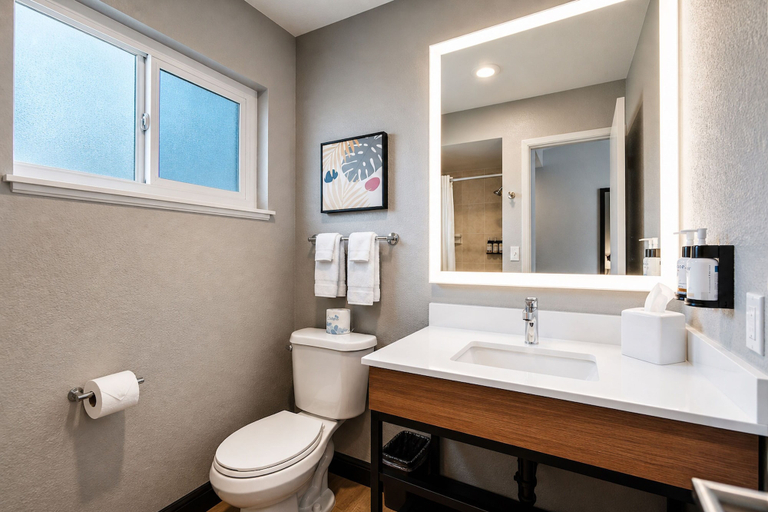 Bathroom 4, Thunderbird Lodge, Shasta