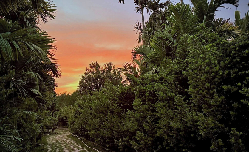 Miscellaneous 4, Bao Ong Thien Retreat, Củ Chi