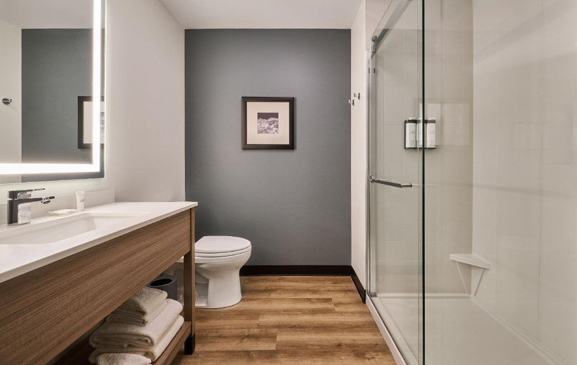 Bathroom, Hyatt Select Boston/Woburn/Burlington, Middlesex