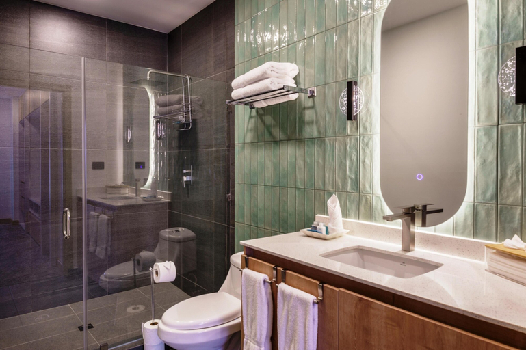 Bathroom 5, Best Western Plus Hotel Terraza, San Salvador