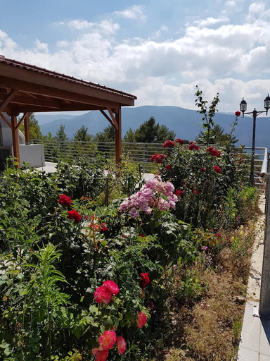 Garden, Kyperounta Heights - Breathtaking View
