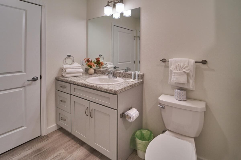 Bathroom, The Ruby 305, Sevier