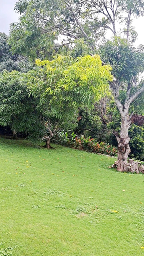Property grounds 4, Montego Bay - Hillside Retreat