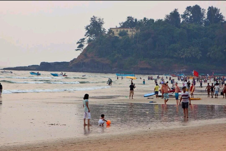 Others 2, BAGA PLANET 9, North Goa
