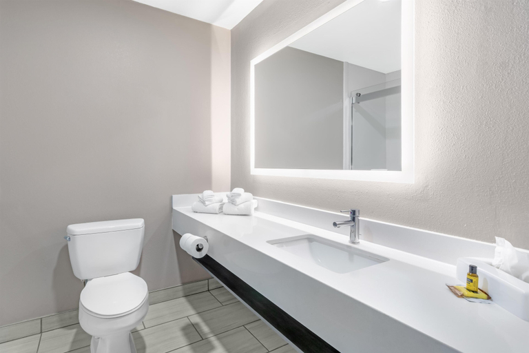 Bathroom 4, Best Western Plus Pocomoke City, Worcester