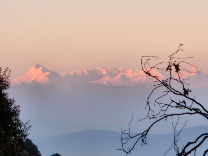 Others 4, Mountain Golden Ray, Nainital