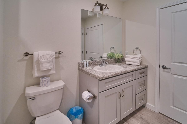 Bathroom 2, The Ruby 307, Sevier