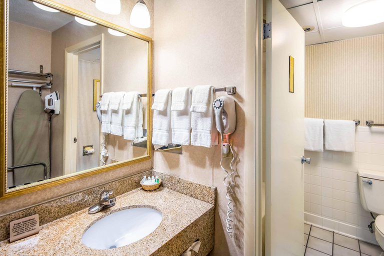 Bathroom 4, Clarion Inn Grand Junction, Mesa