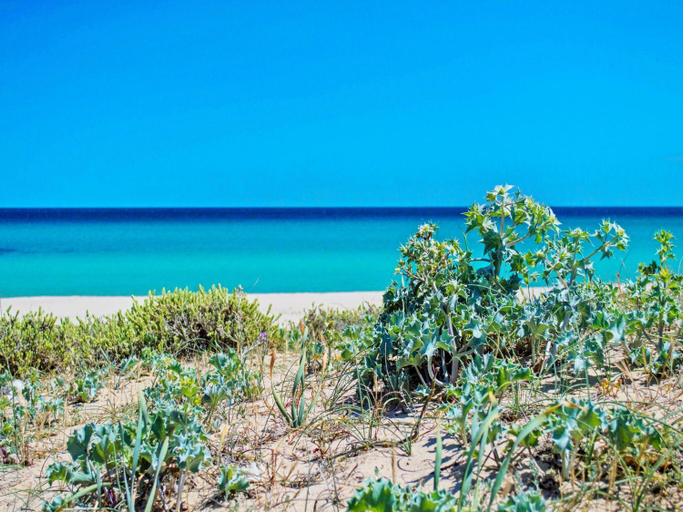Others 4, Two-room apartment in Costa Rei near sea, Cagliari