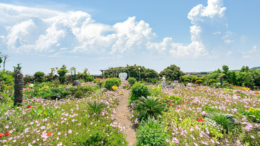 Others 5, Jeju White Whale Pension, Seogwipo