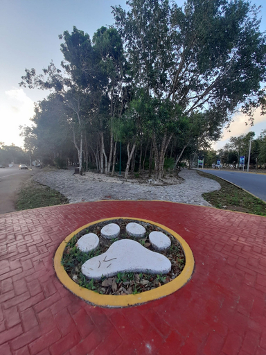 Sport & Beauty 4, Devoted Hoestel in Cancun With Equipped Kitchen, Pool, Close to Beaches & More!, Benito Juárez