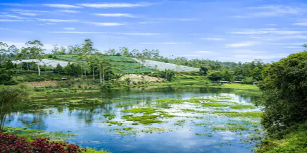 Miscellaneous 5, Cozzy RB Pangalengan Bandung, Bandung