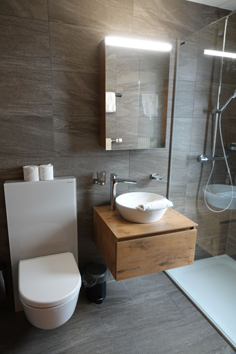 Bathroom 3, B&B Alpenrösli, Visp
