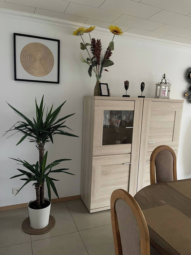 Dining 5, Superb Appartment in Antwerpen, Antwerpen