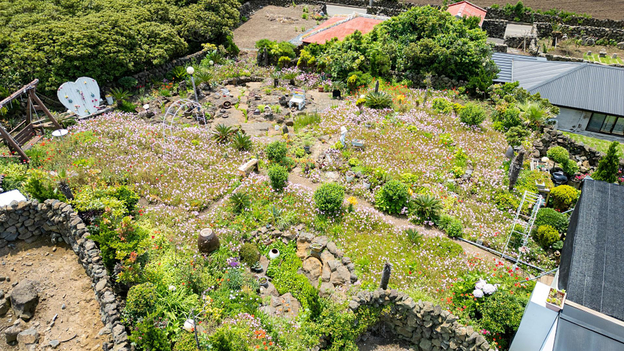 Others 4, Jeju White Whale Pension, Seogwipo