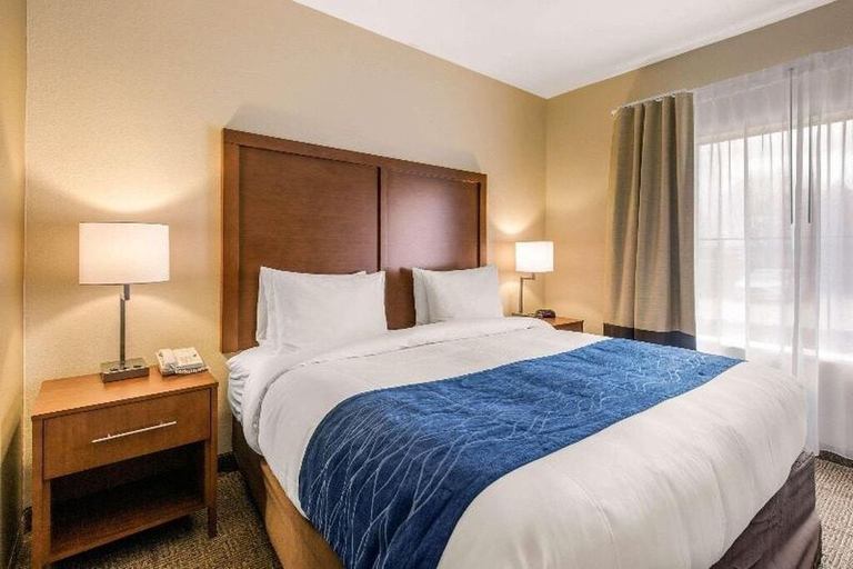 Room 4, Comfort Suites, Houston