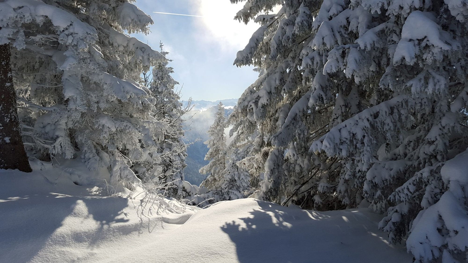 Room 3, R Sidence Les Balcons du Soleil 3p6s, Hautes-Pyrénées