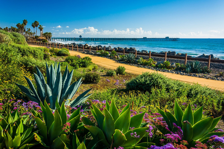 Beach 3, San Clemente Surf Inn, Orange