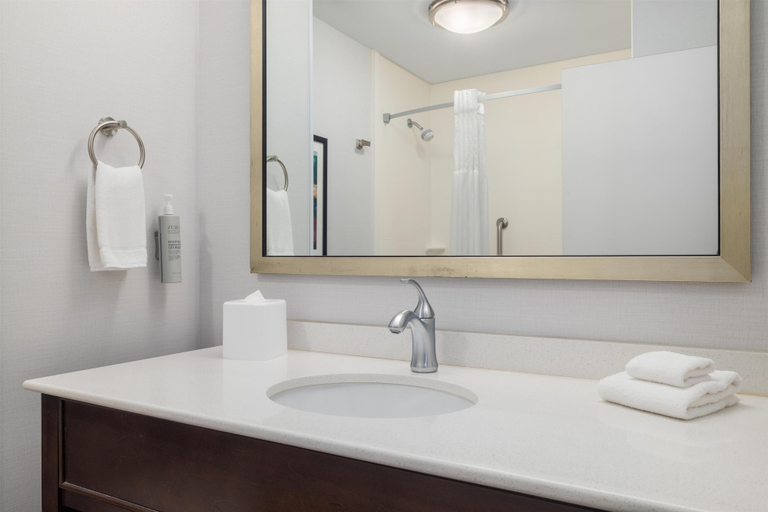 Bathroom 4, Hampton Inn & Suites Roanoke-Downtown, Roanoke City