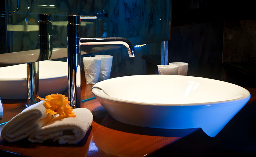 Bathroom, Otara, Jodhpur