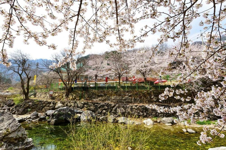Others 2, Yongchu valley yeohang pension, Gapyeong