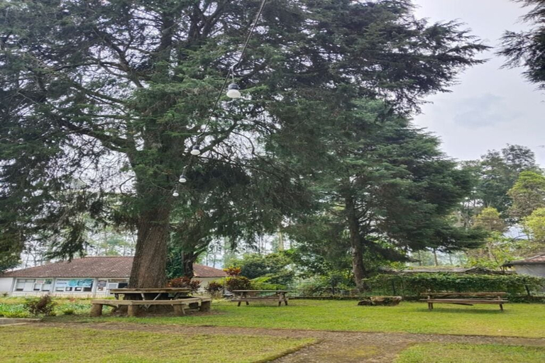 Outdoor dining, Cozzy Villa Sabda Desa Cabin, Bandung