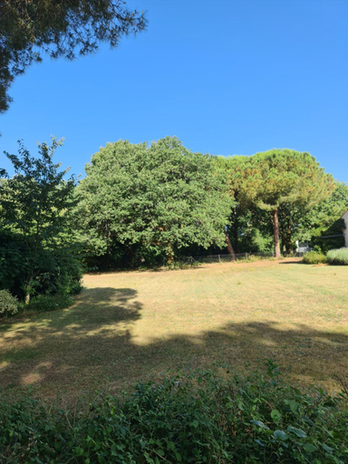 Others 2, La Desirade, Charente-Maritime