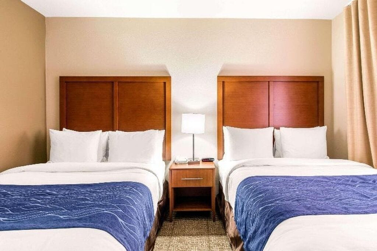 Room 2, Comfort Suites, Houston
