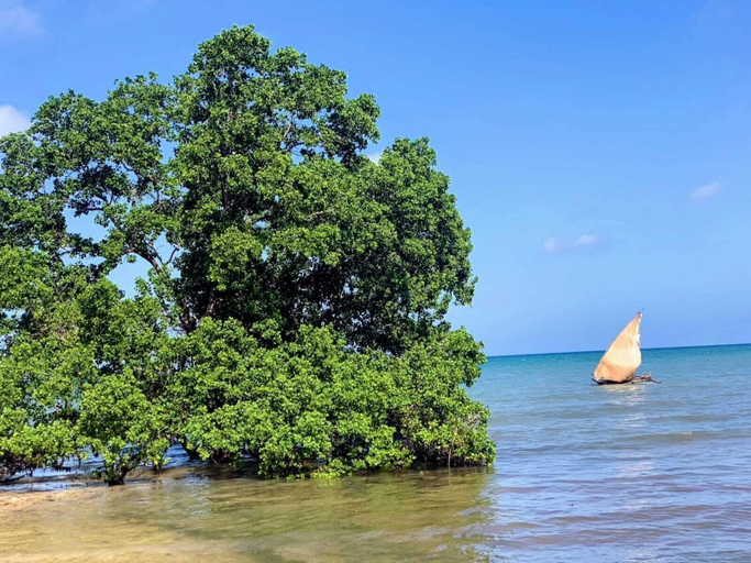 Beach 5, Shiri beach resort, Magharibi