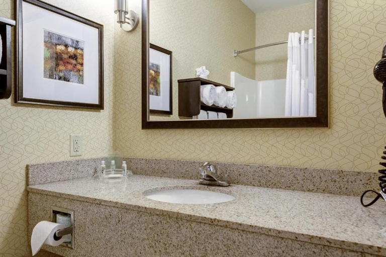 Bathroom 5, Holiday Inn Express & Suites SIKESTON by IHG, New Madrid