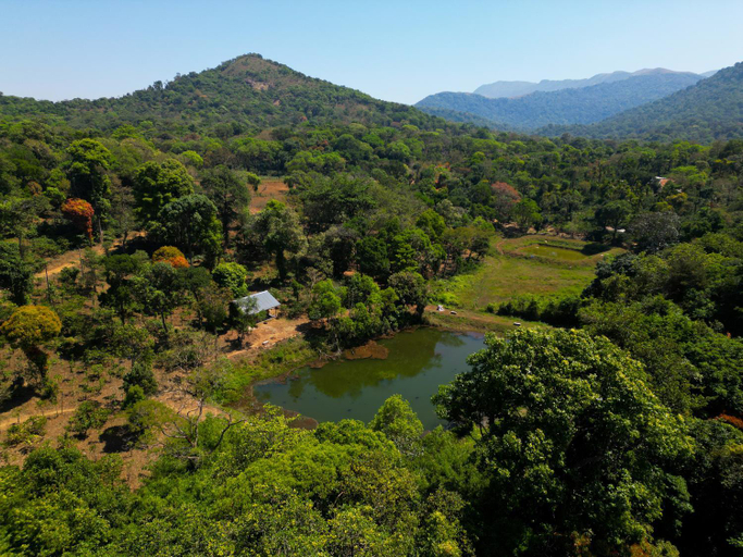 Surrounding environment 5, T Stop Homestay, Kodagu