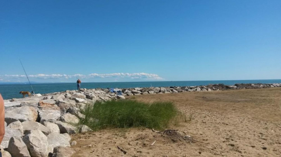 Beach 4, Lovely Flat in a Building Surrounded by Garden, Venezia
