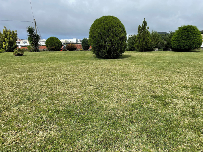 Property grounds 5, Casa da Fajã - Spacious, Garden, and Private Parking, Ponta Delgada