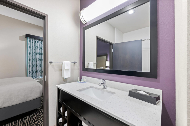 Bathroom 4, Quality Inn & Suites Colorado City, TX, Mitchell