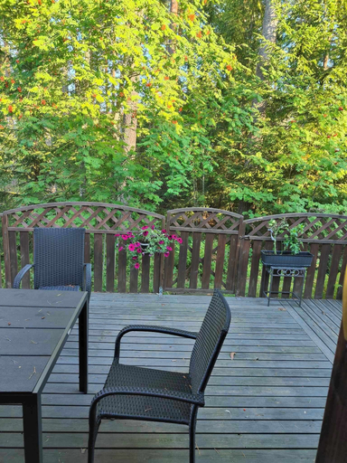 Garden, Cozy Forest Retreat in Kuopio - Perfect for Families & Work Trips, North Savonia