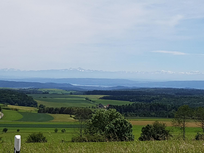 Others 2, Berg Gasthof Witthoh, Tuttlingen