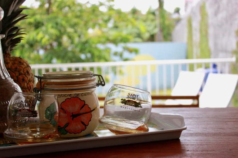 Food & Drinks 4, Villa bougainvillier, Les Trois-Îlets